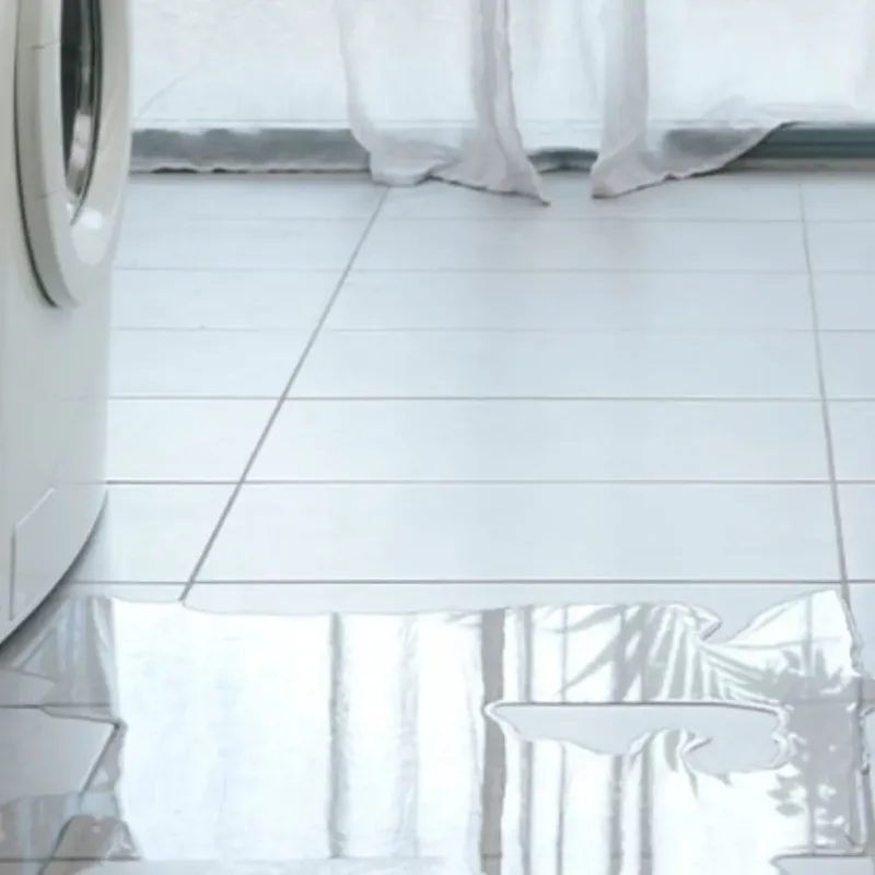 Appliance Leak Cleanup in Oldsmar, FL