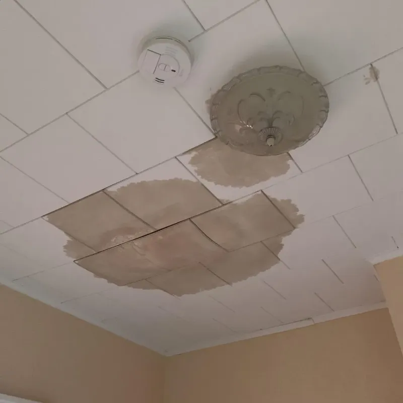 Ceiling Water Damage Repair in Oldsmar, FL